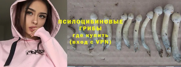 первитин Армянск