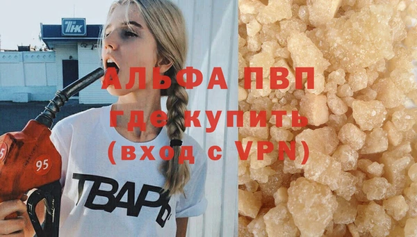 молекула духа Аркадак